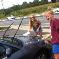 car wash animal rescue
